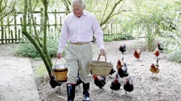 كواليس ملكية.. فيلم وثائقي يكشف جهود الملك تشارلز في حماية البيئة وطبيعة نشاطه